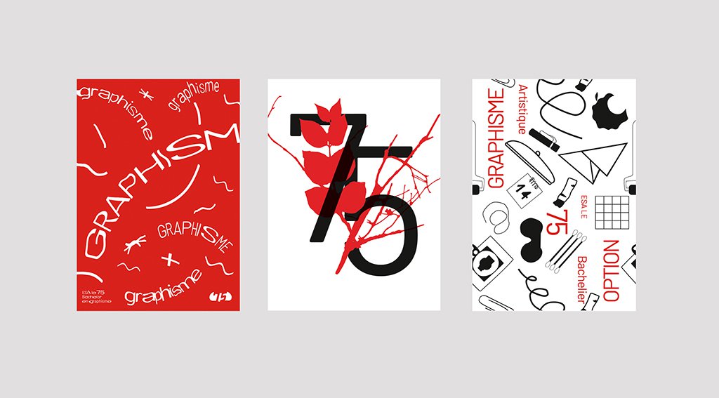 11.B2_AFFICHE PLIEE 1.jpg