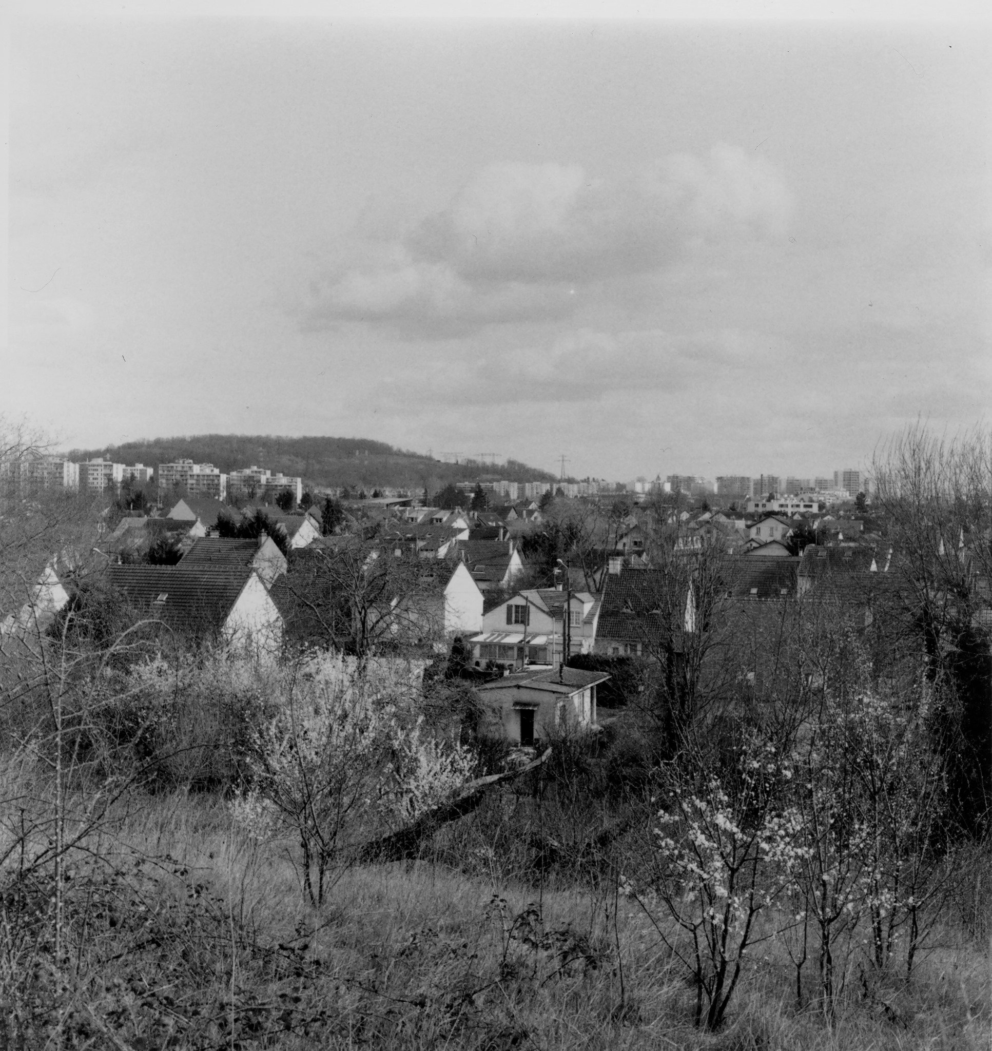 Juliette Deriot2.jpg